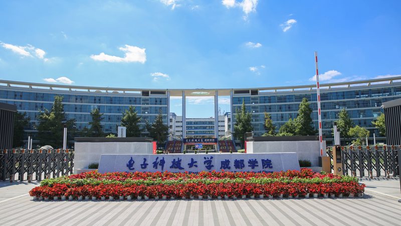 汽车电子代工厂常见型号参数揭秘：揭秘核心指标与选型逻辑